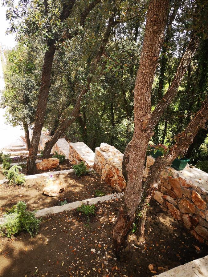 Atena Zaton 2 Nin Exterior photo